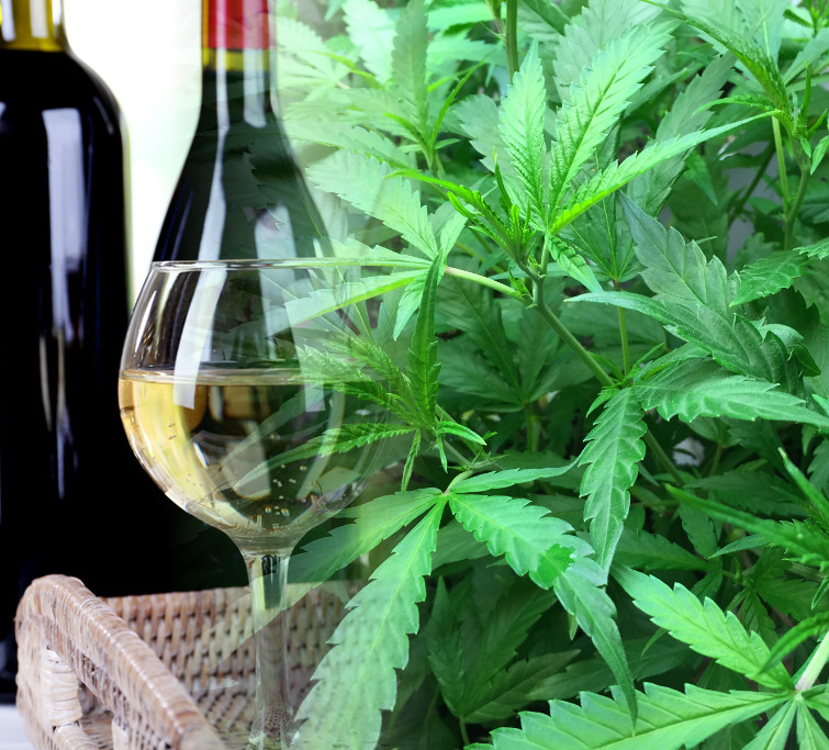 abbinamento vino e cannabis