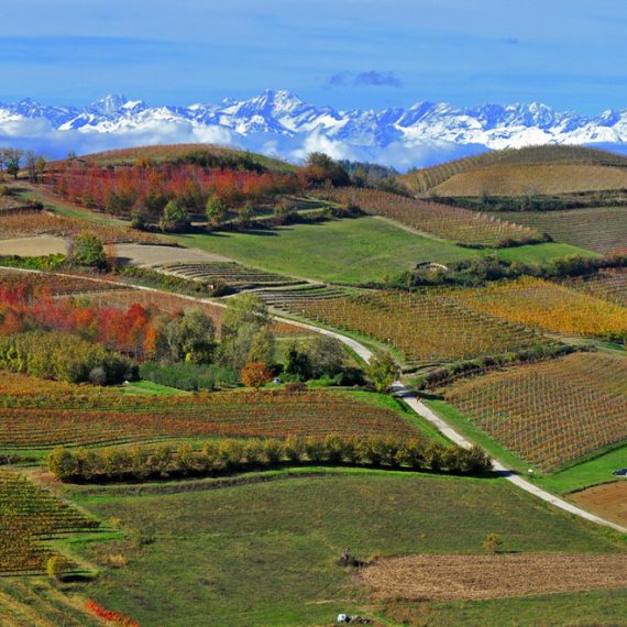 paesaggio monferrato autunno