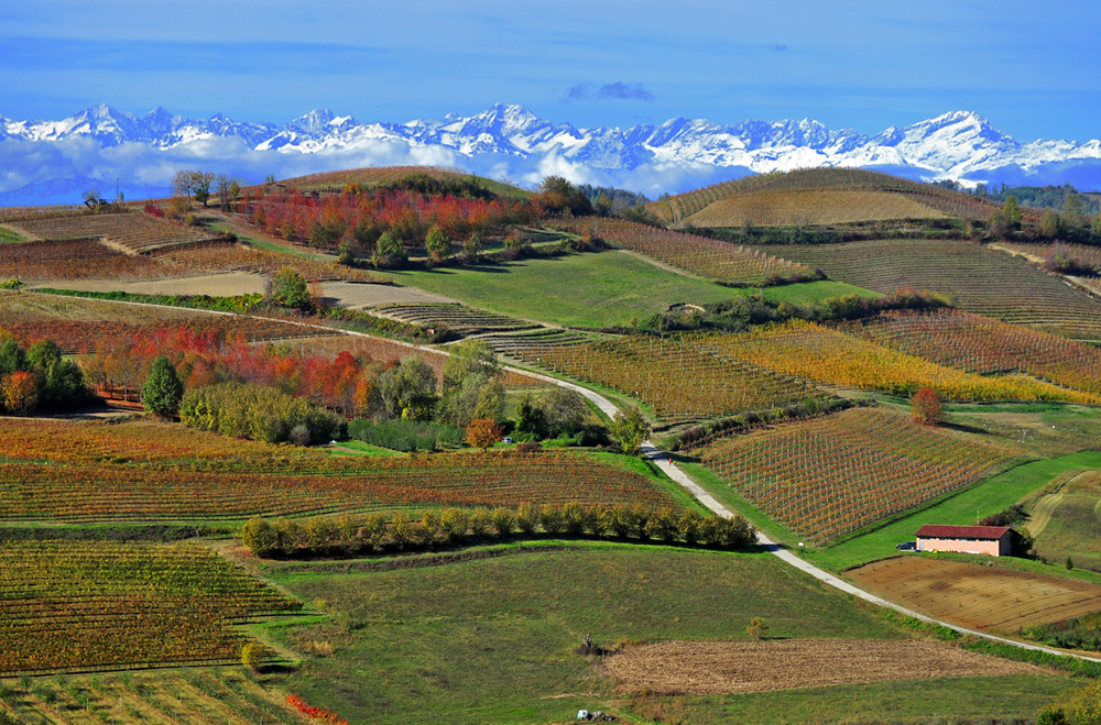 paesaggio monferrato autunno